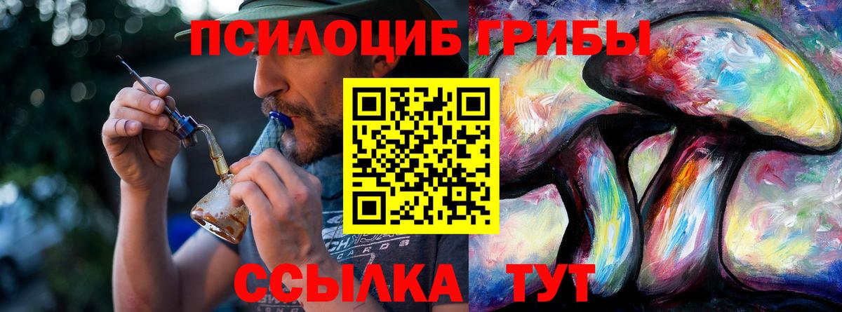 Новотроицк  Галлюциногенные грибы GOLDEN TEACHER  Галлюциногенные грибы Psilocybine cubensis  Вход с VPN 